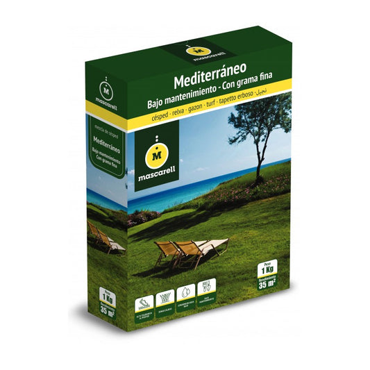 Semillas Césped Mediterráneo