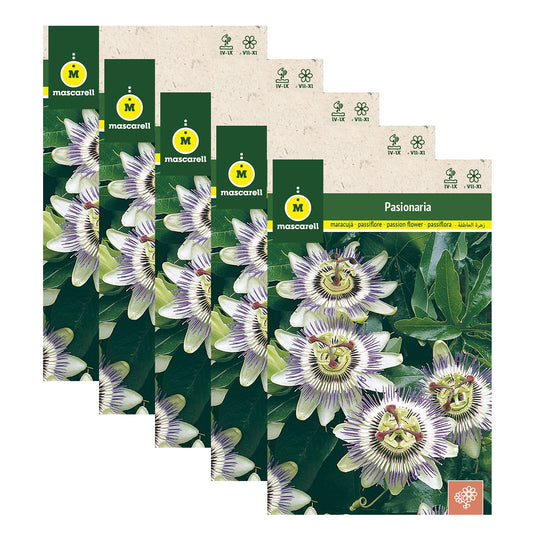 Semillas de Passiflora - Pack de 5 Sobres