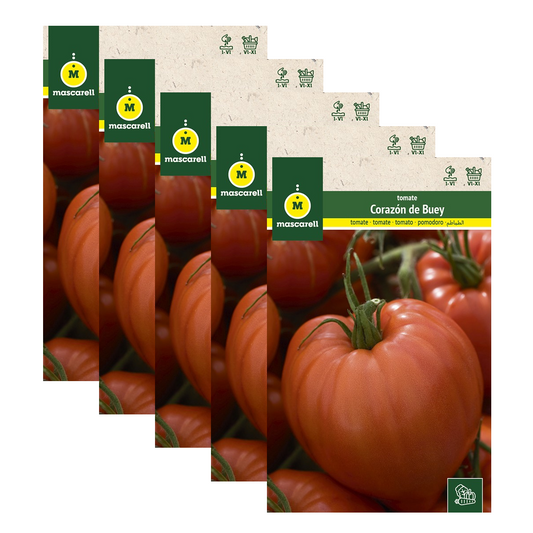 Semillas Tomate Corazón de Buey - Pack de 5 Sobres