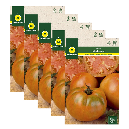Semillas Tomate Muchamiel - Pack de 5 Sobres