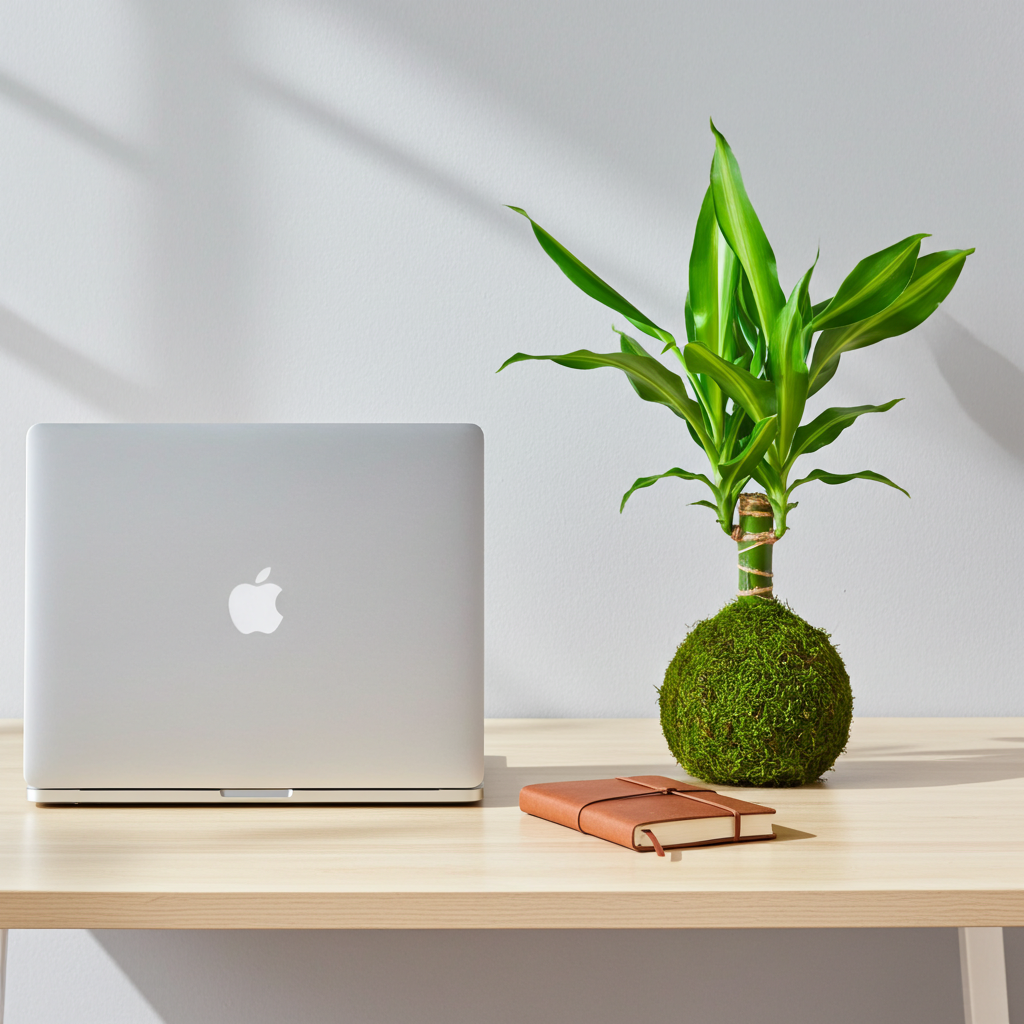 kokedama tronco brasil dracaena fragrans