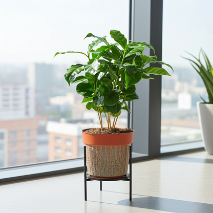planta cafe