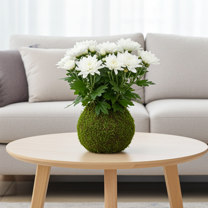 kokedama margarita
