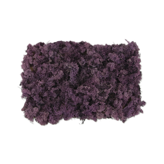 Musgo Finlandés Morado