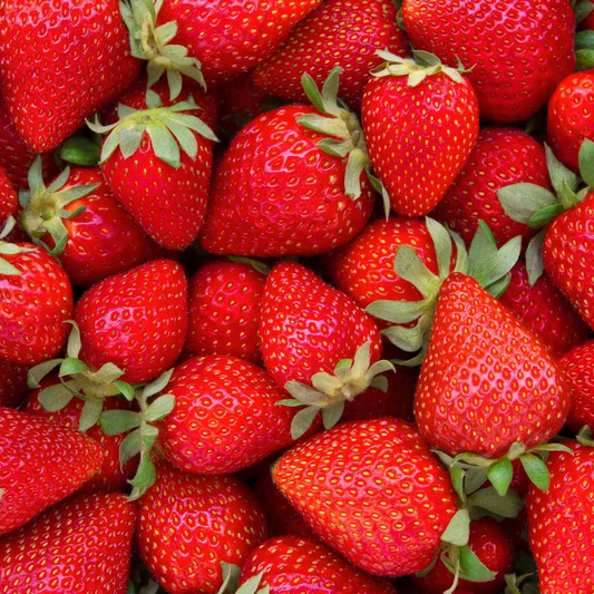 semillas de fresas