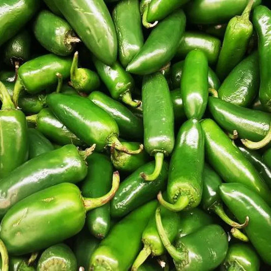 semillas pimiento jalapeño