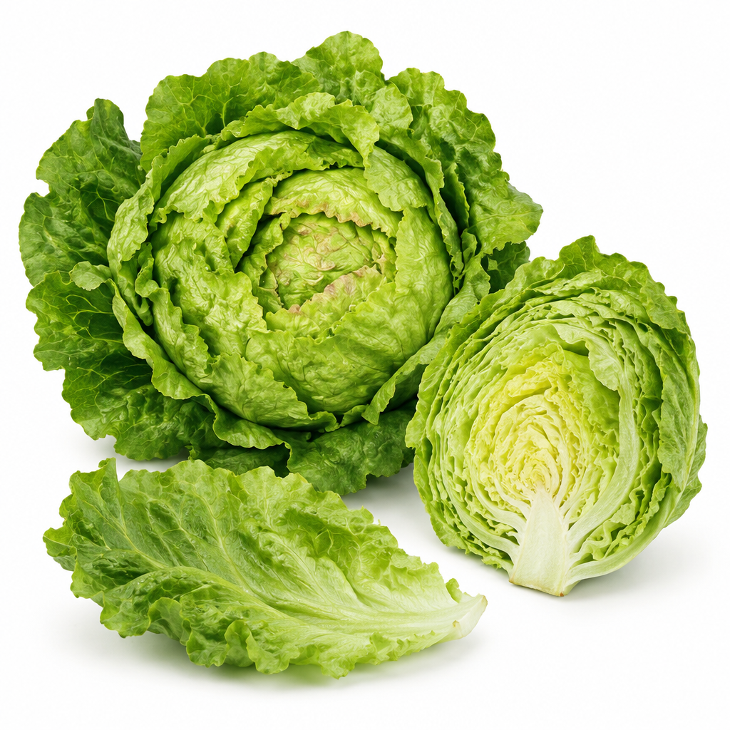 Semillas Lechuga Reina de Mayo · Semillas Lechuga Reina de Mayo