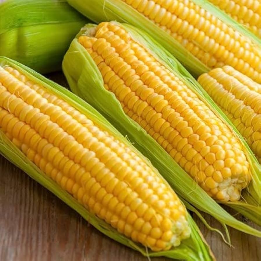 semillas maiz dulce golden bantam