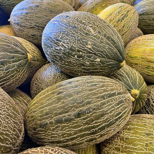 semillas de melon piel de sapo