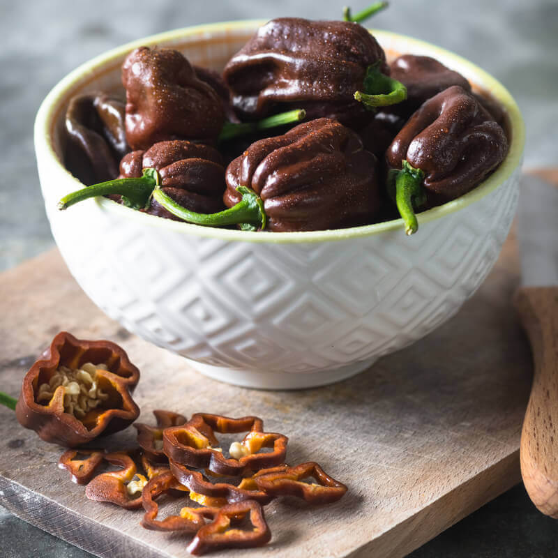 semillas pimiento habanero chocolate