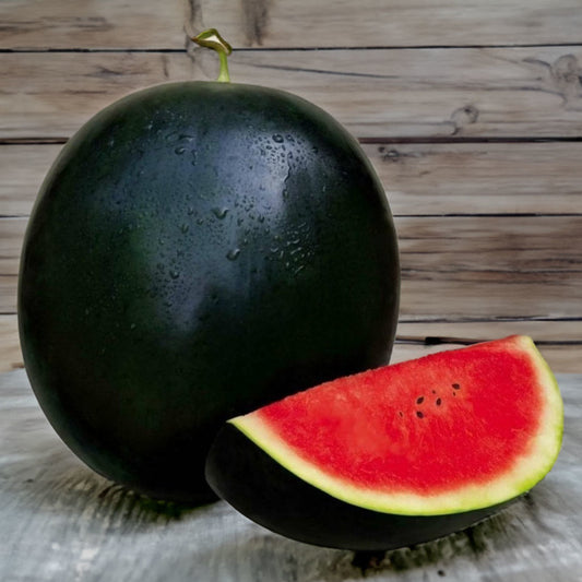 semillas sandia sugar baby