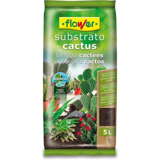 sustrato cactus