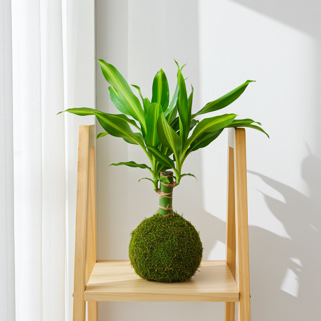 kokedama planta tronco brasil