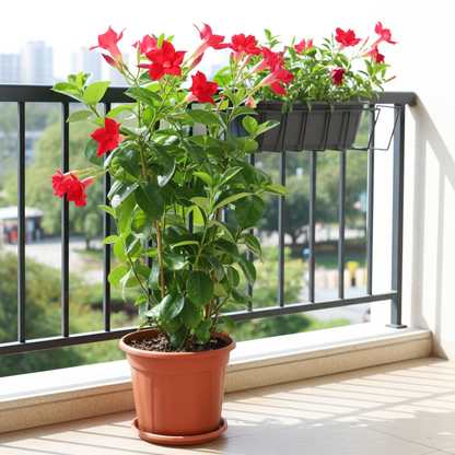 dipladenia flores rojas